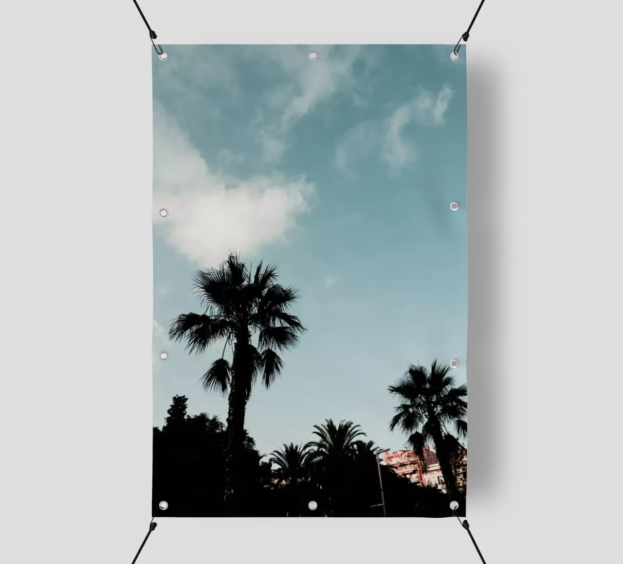 Palms XI telo in pvc da Sebastian Hilgetag
