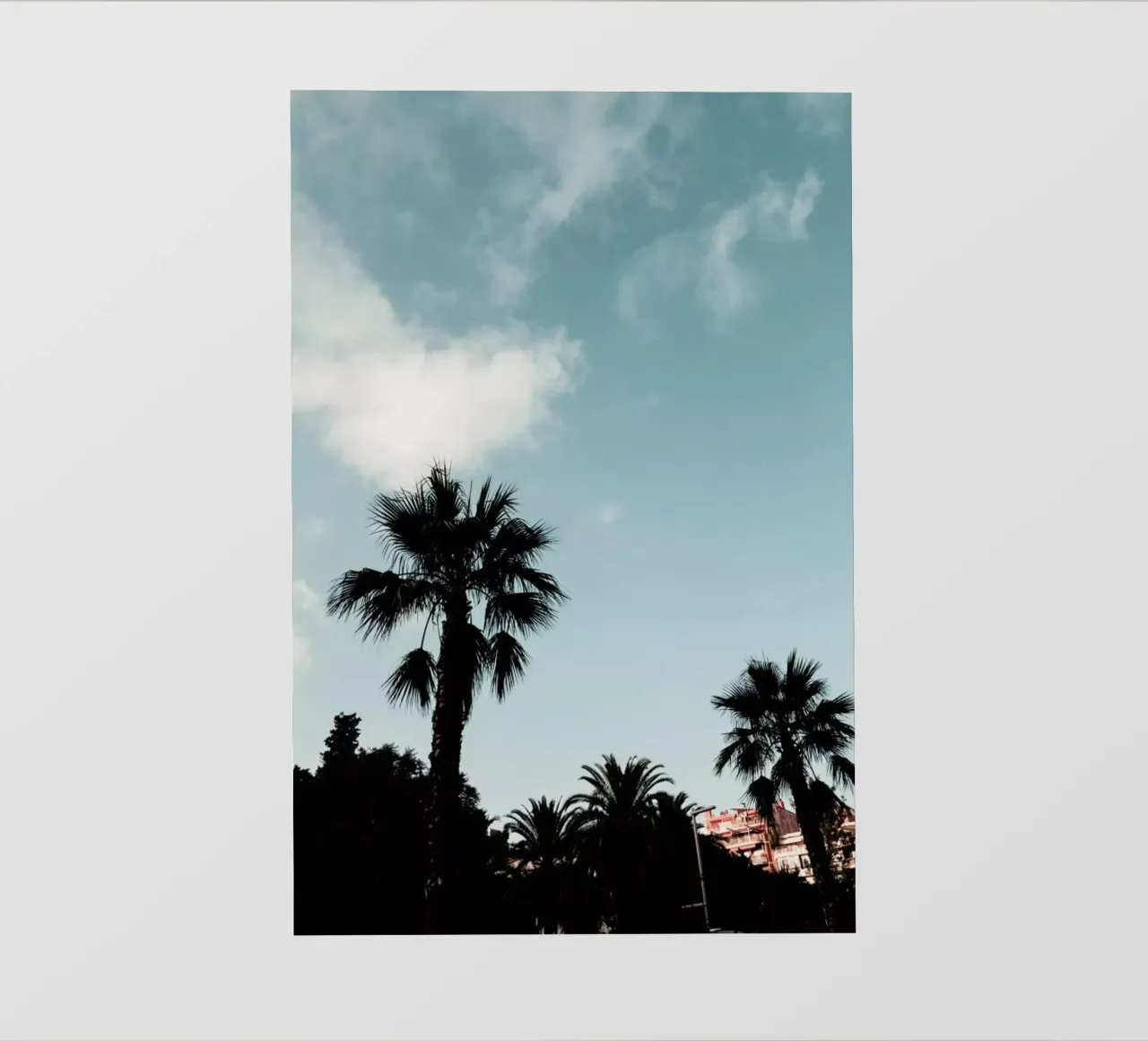 Palms XI telo in pvc da Sebastian Hilgetag