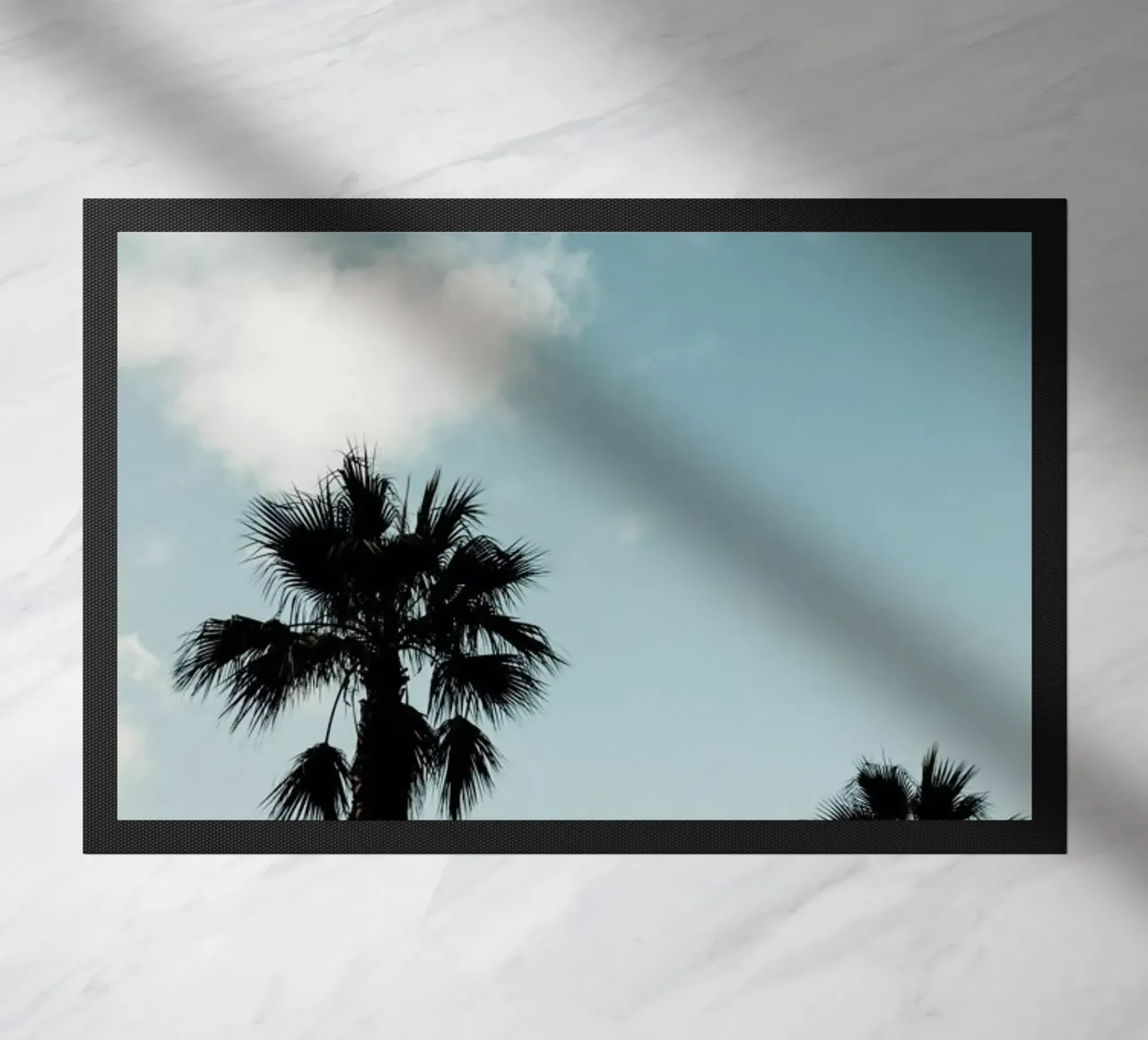 Palms XI zerbino da Sebastian Hilgetag