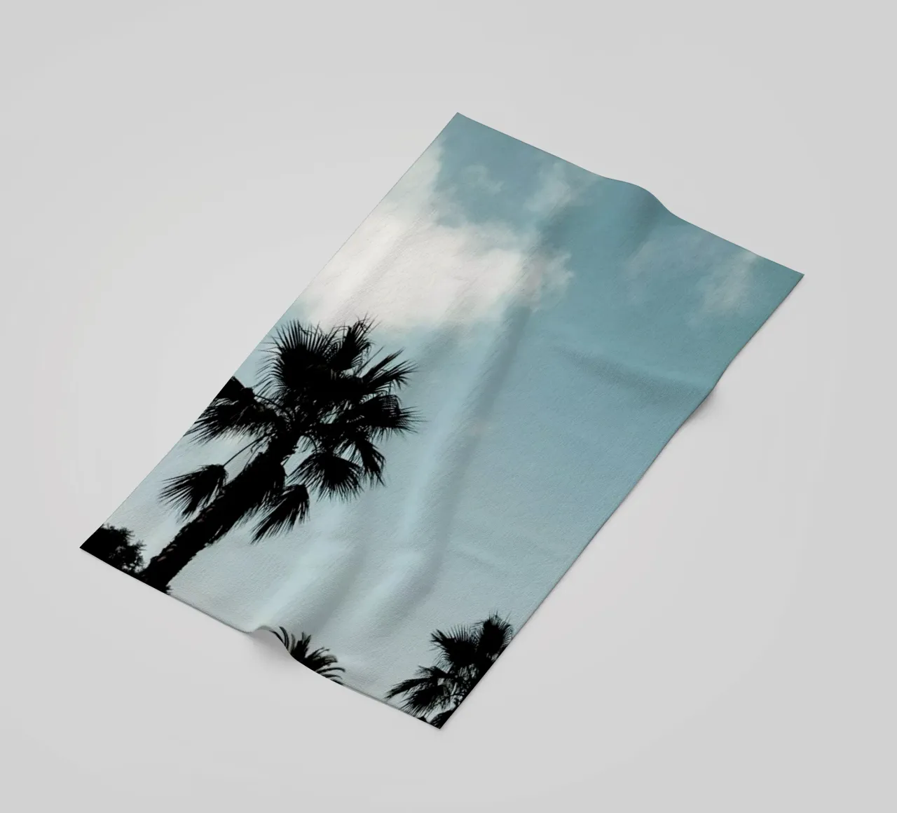 Palms XI telo mare da Sebastian Hilgetag