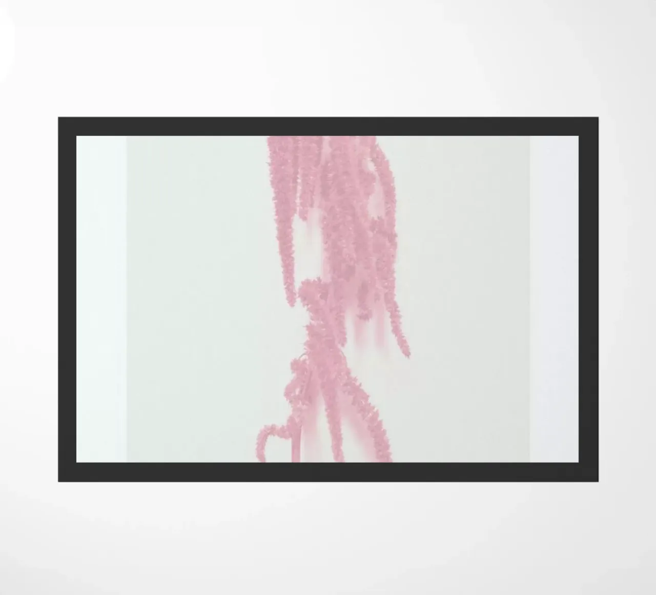 Hazelnut III zerbino da Elena Veronese