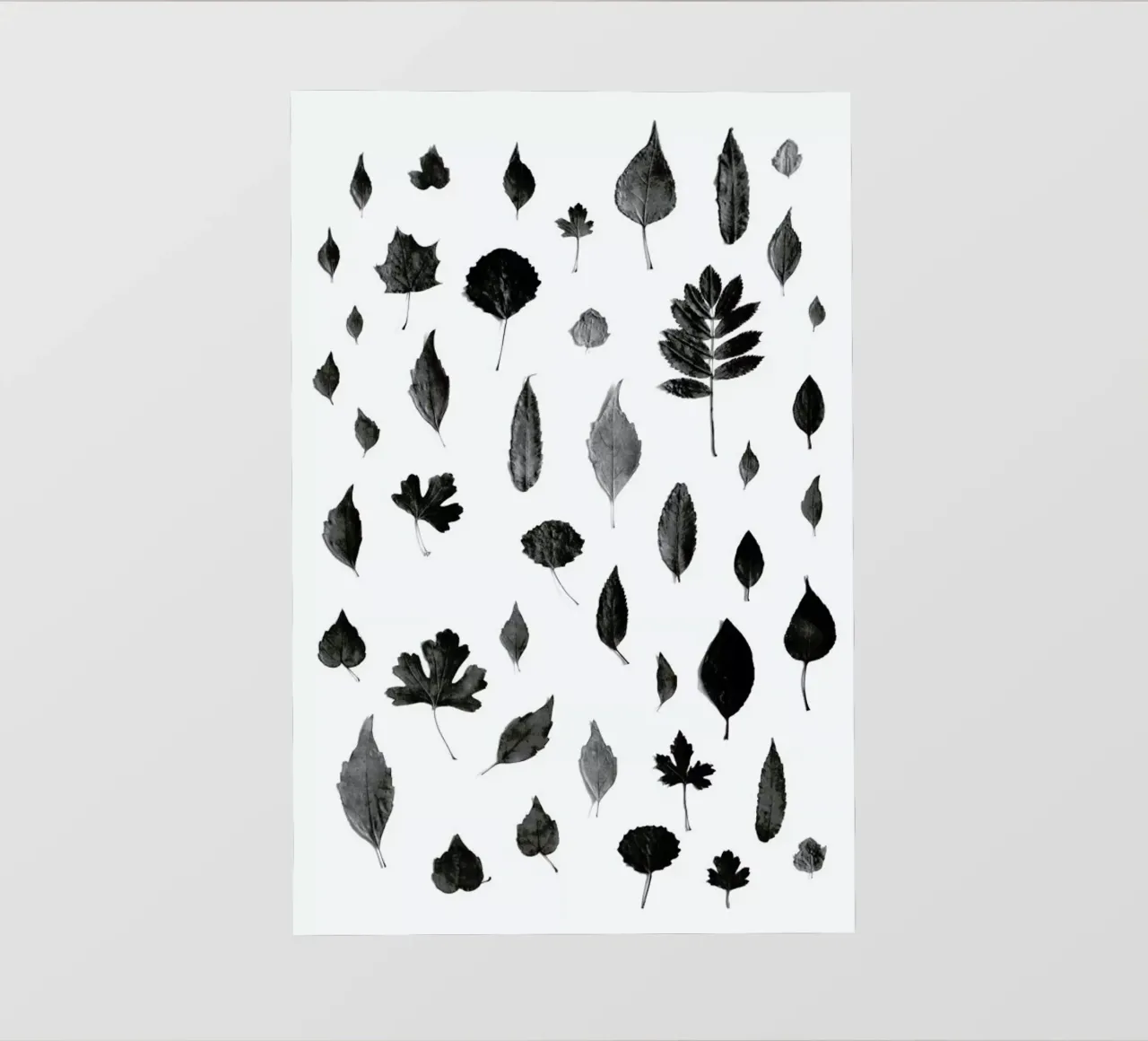 Signs Of Autumn- Black pellicola backlit da Studio Nahili