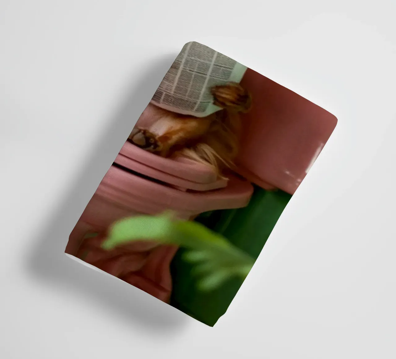 Dackel liest Zeitung asciugamano da bagno da NORDLICHT DESIGNS