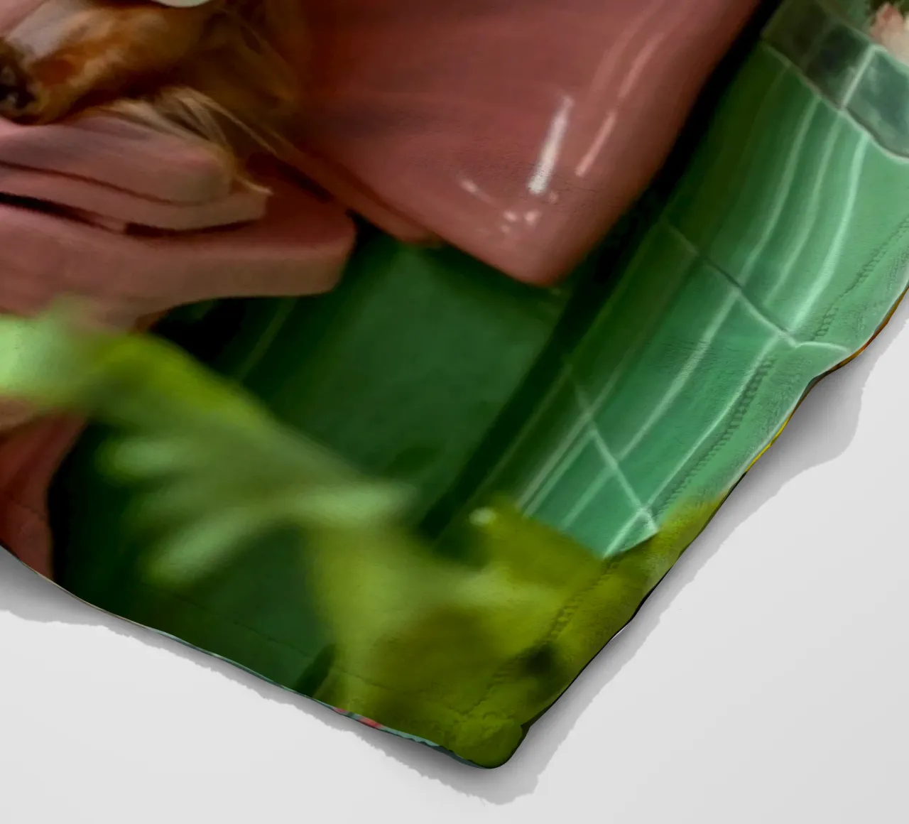 Dackel liest Zeitung coperta in pile da NORDLICHT DESIGNS