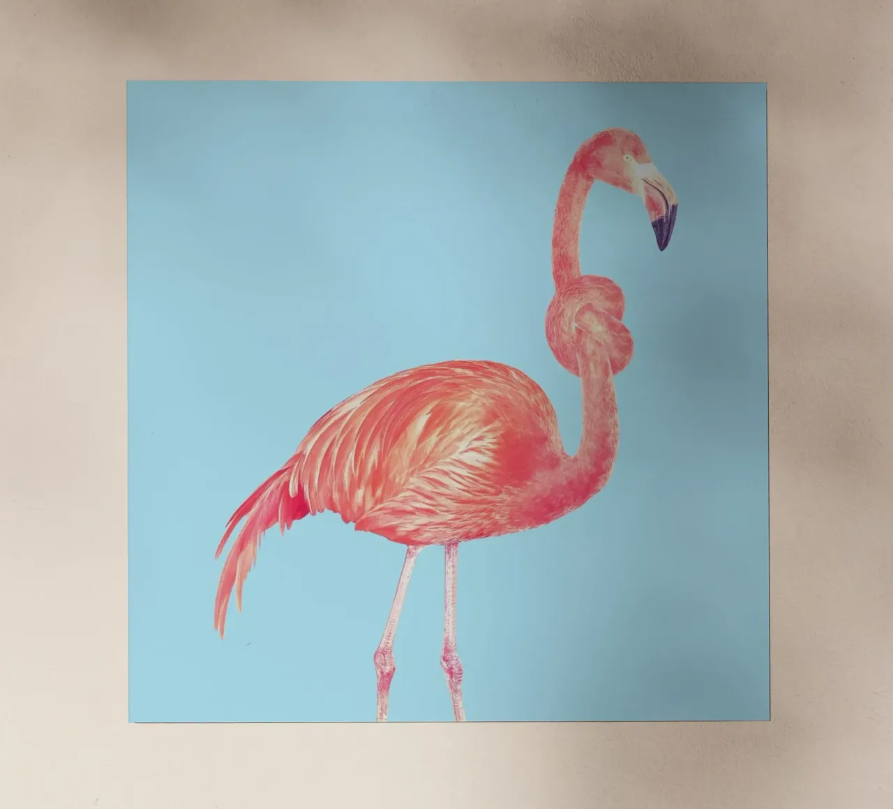 Flamingo with a Big Problem Backlit Folie von suckertom