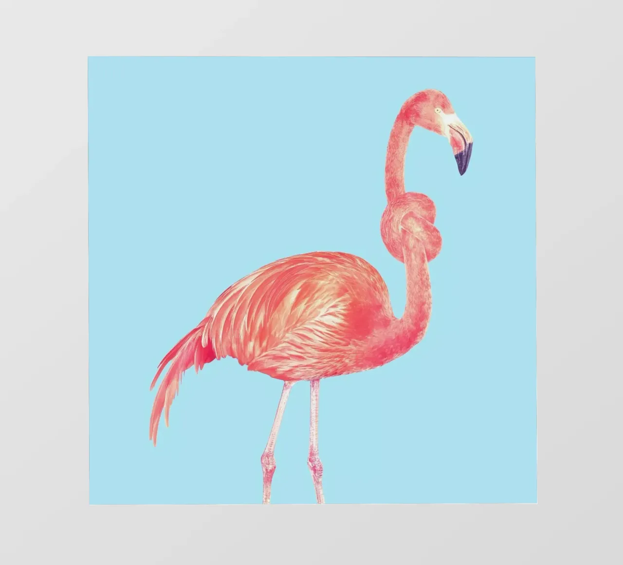 Flamingo with a Big Problem pellicola backlit da suckertom