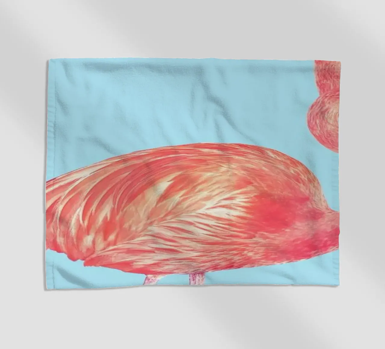 Flamingo with a Big Problem telo mare da suckertom