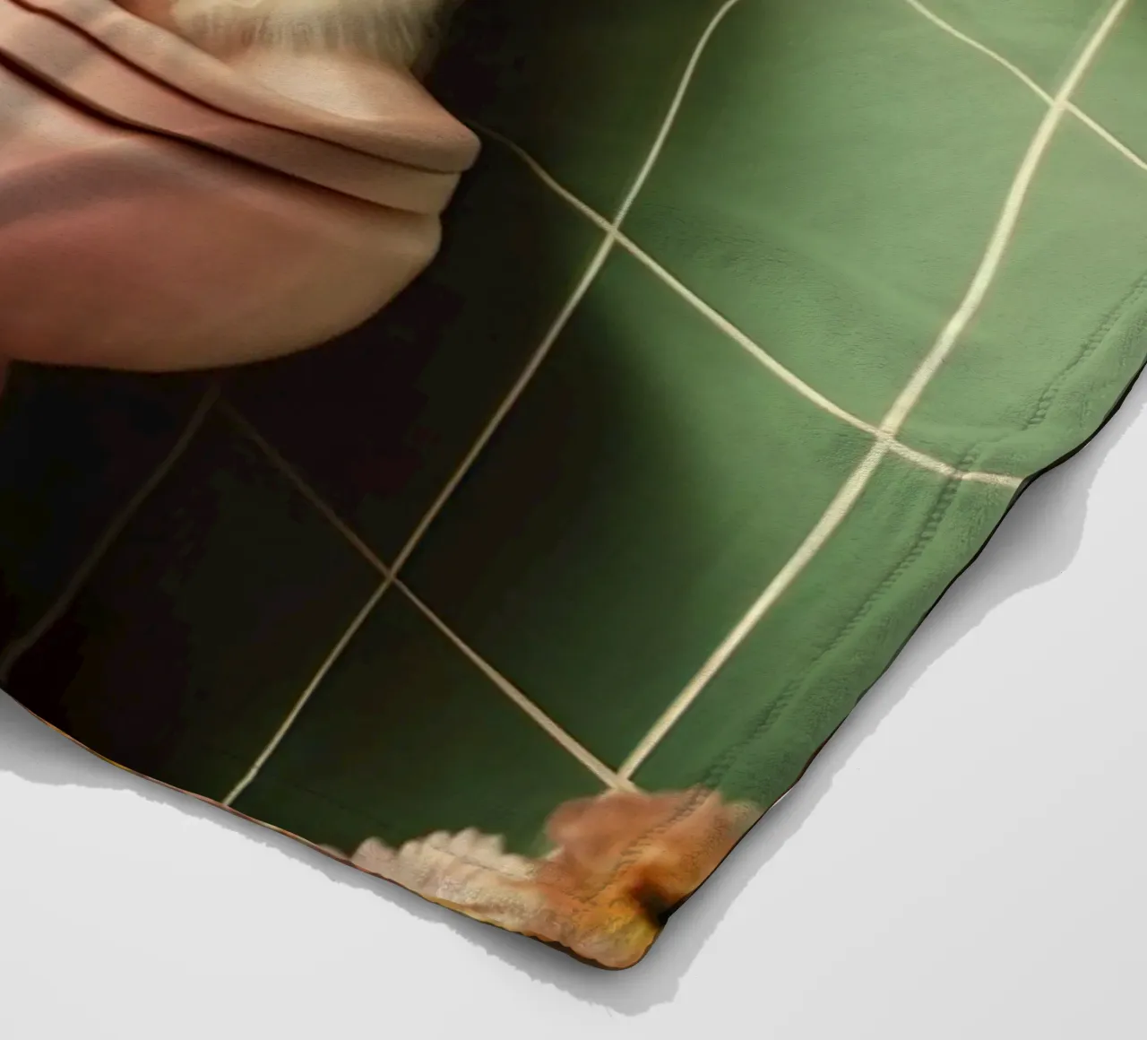 Katze liest Zeitung coperta in pile da NORDLICHT DESIGNS