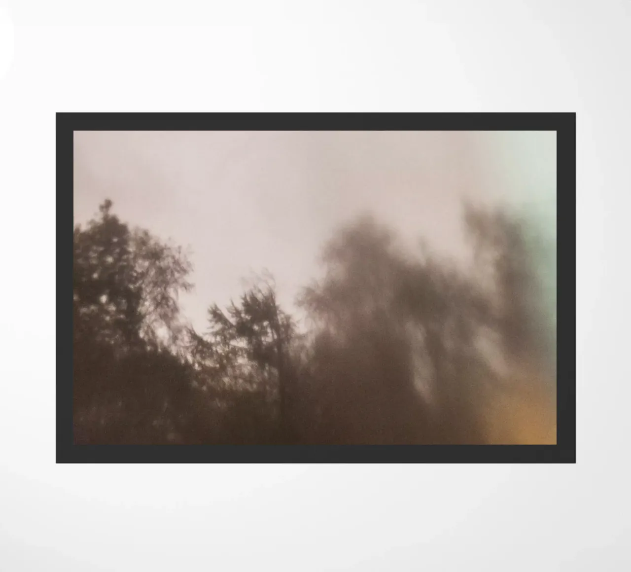 Outside My Window zerbino da Klaus with K