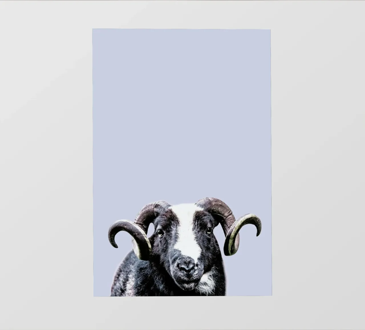 R.A.M. telo in pvc da Victoria Frost