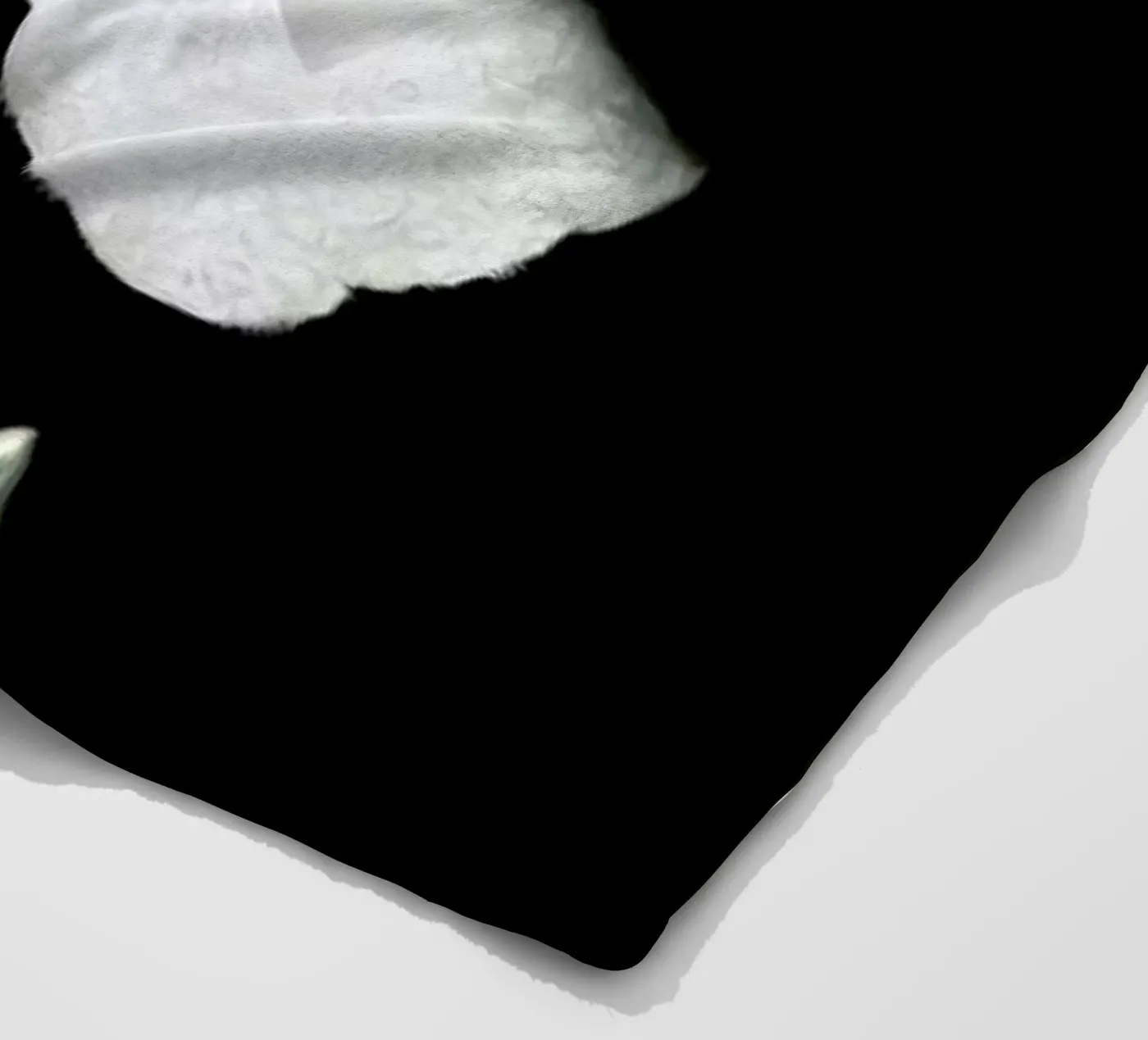 Mingus fleece blanket by Tein Lucasson