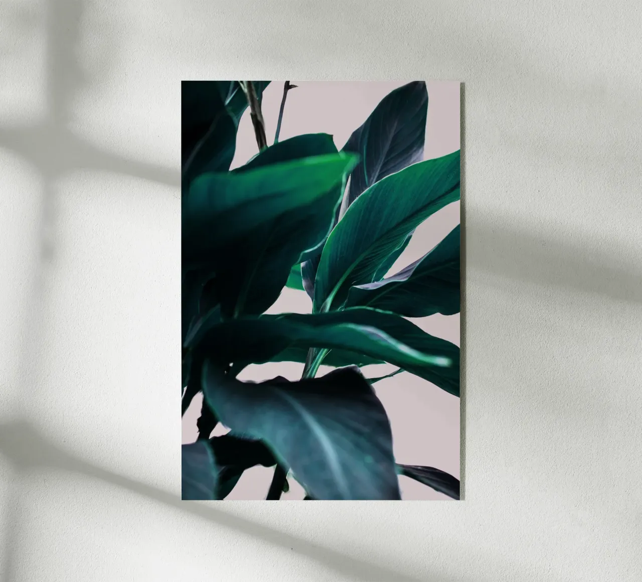 Leaves 4 plexiglass da Mareike Böhmer Photography