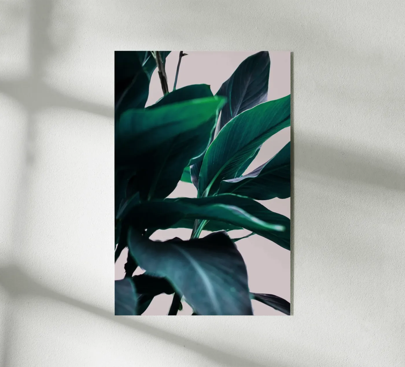 Leaves 4 Acryl-Glas von Mareike Böhmer Photography