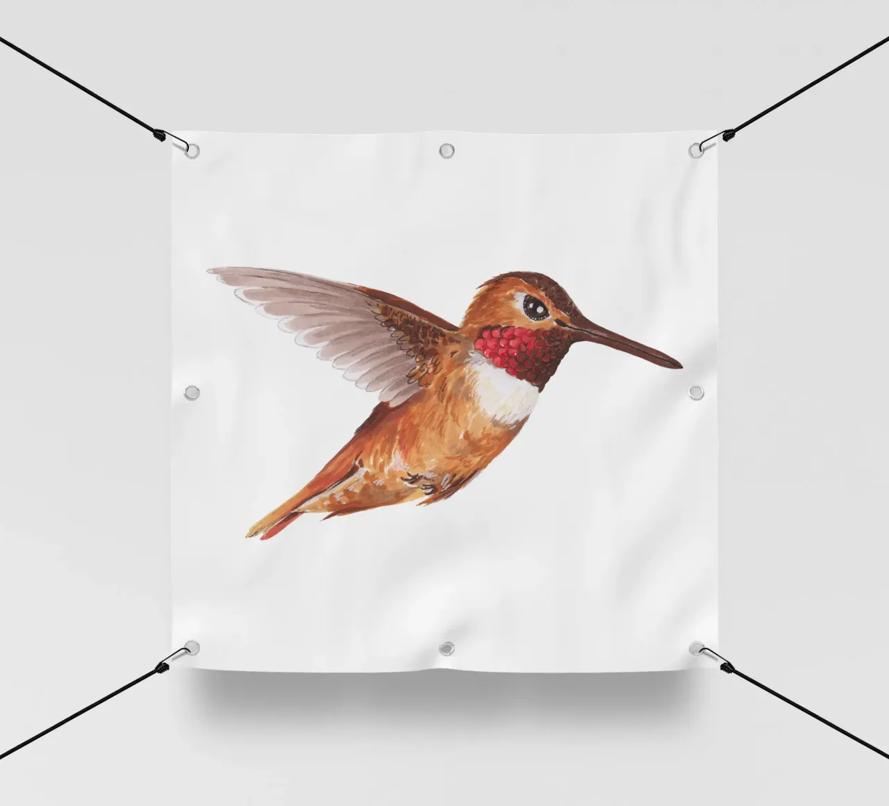 Colibrì telo in pvc da Painted Nature