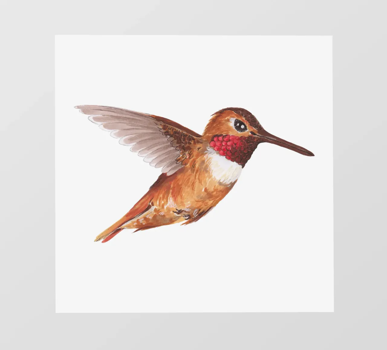 Colibrì telo in pvc da Painted Nature
