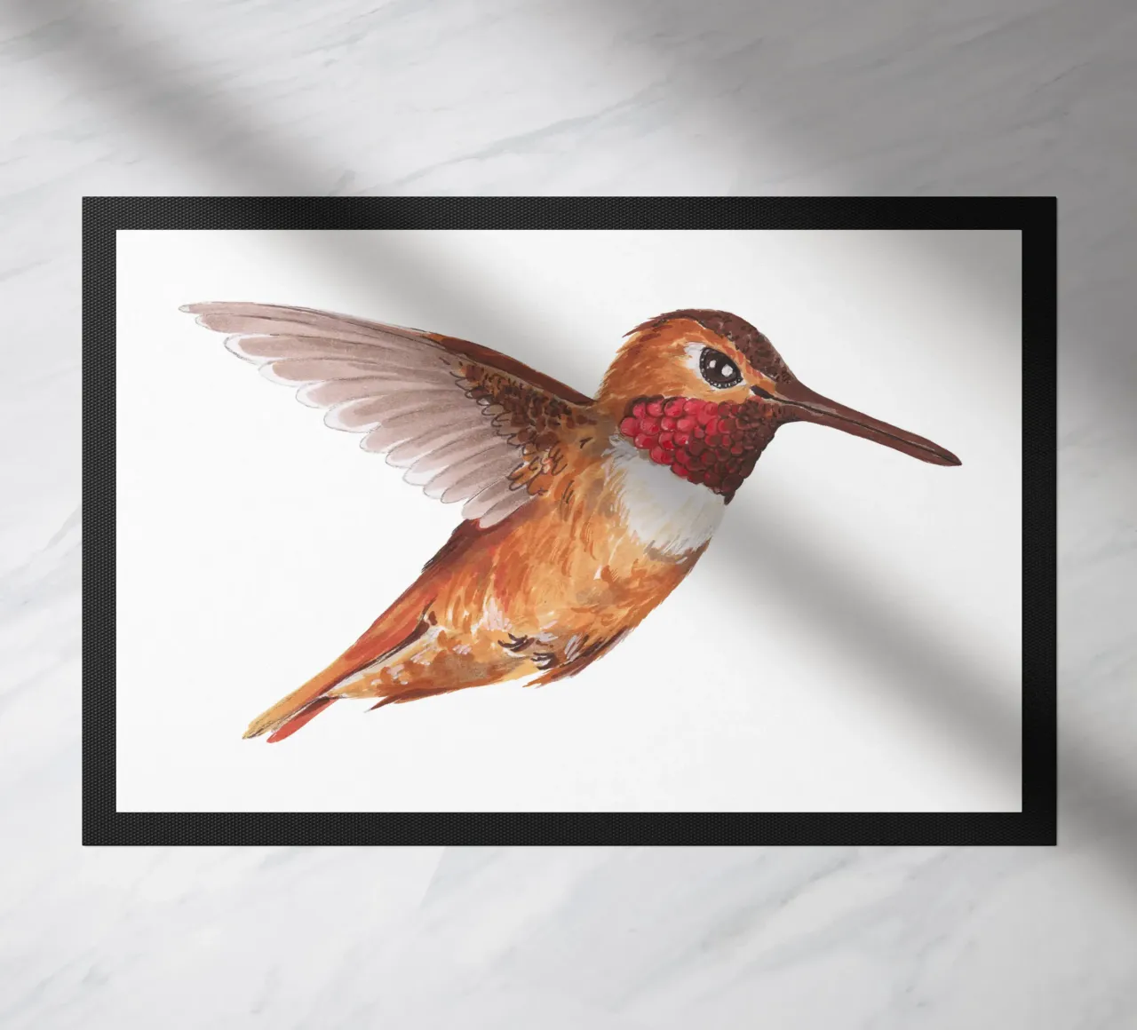 Colibrì zerbino da Painted Nature