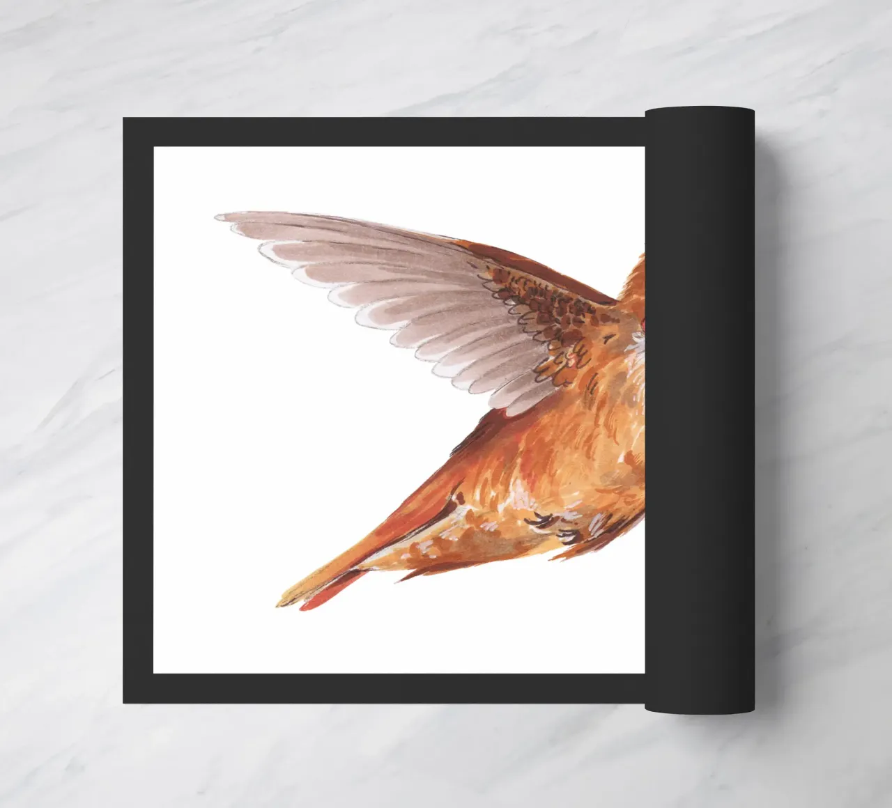 Colibrì zerbino da Painted Nature