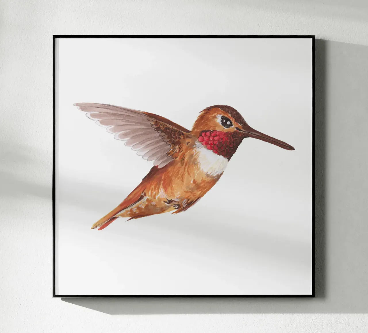 Colibrì plexiglass da Painted Nature