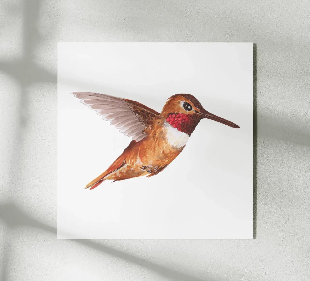 Colibrì plexiglass da Painted Nature