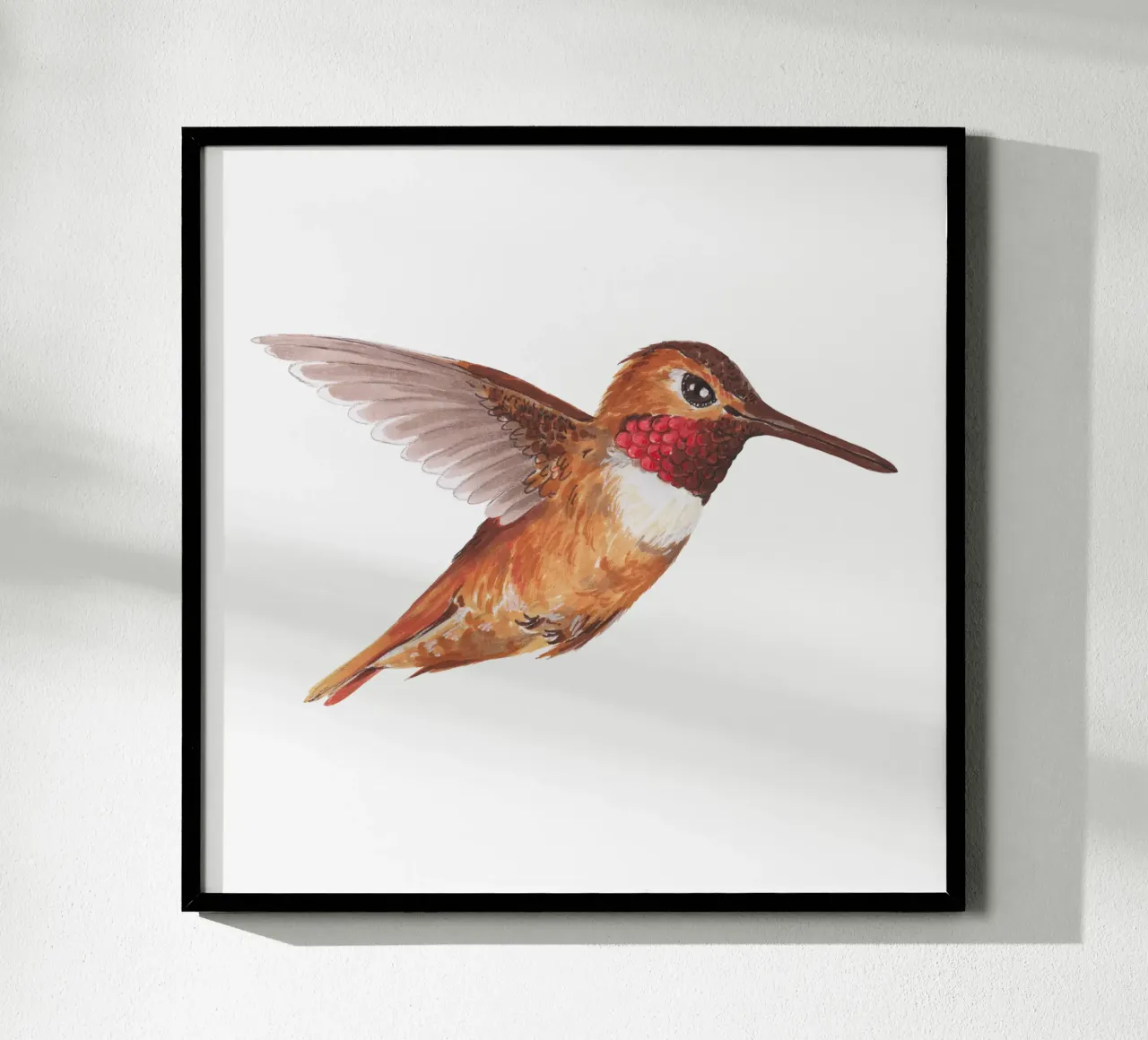 Hummingbird poster da Painted Nature