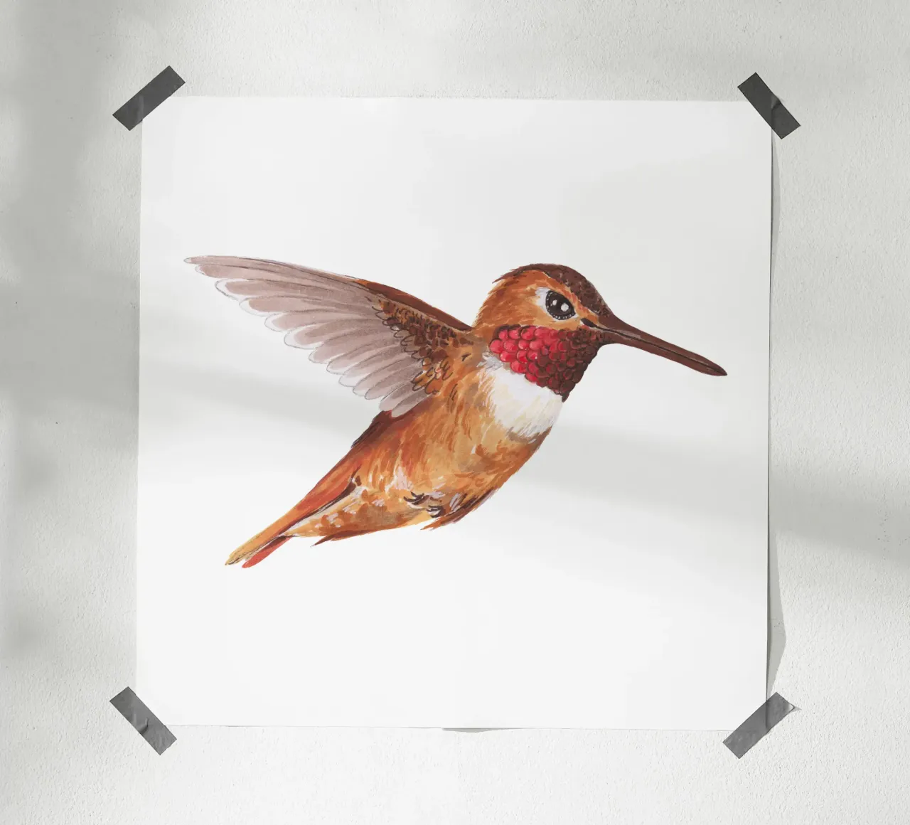 Colibrì poster da Painted Nature