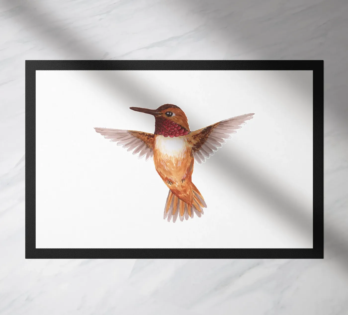 Colibrì zerbino da Painted Nature