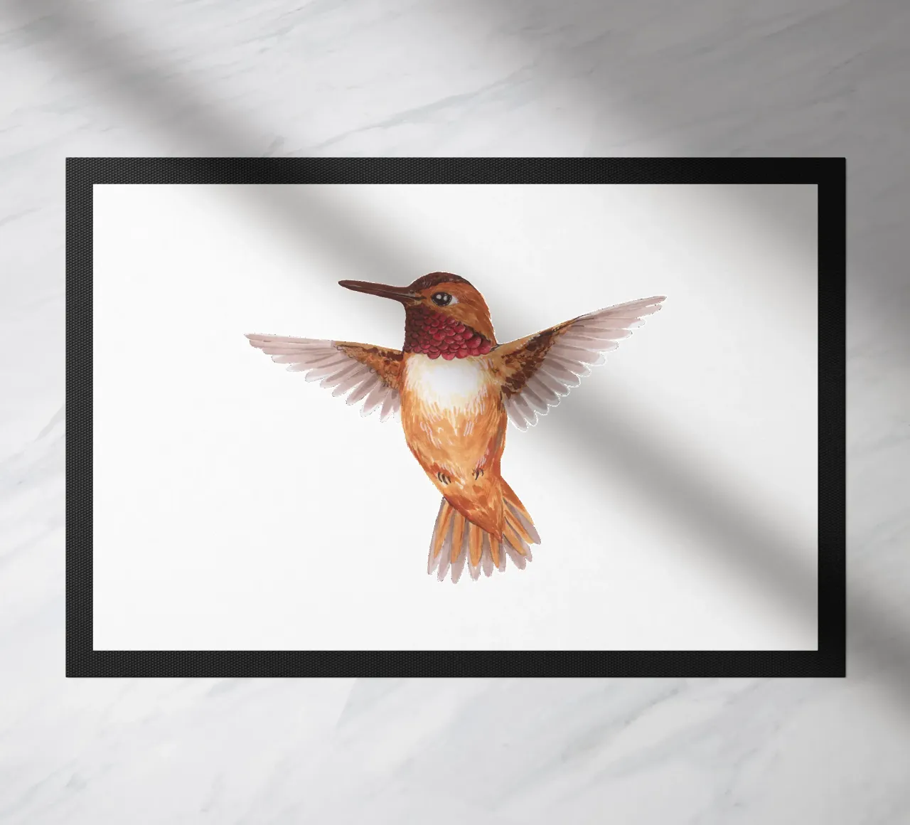 Colibrì zerbino da Painted Nature