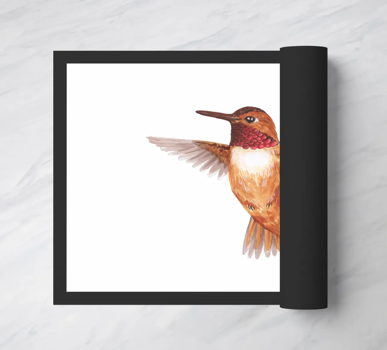 Colibrì zerbino da Painted Nature