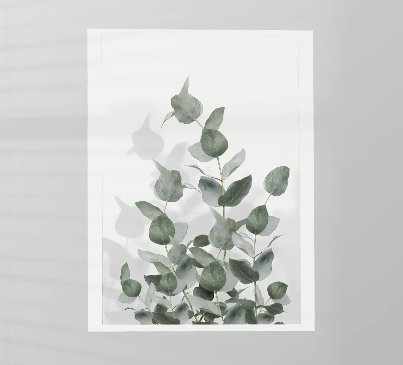 Eucalyptus pellicola backlit da Manhmai
