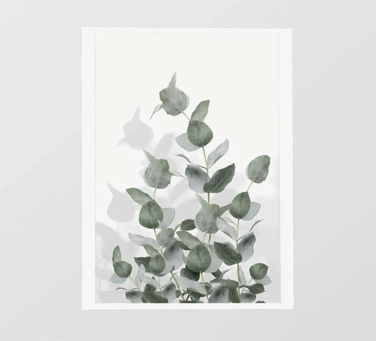 Eucalyptus pellicola backlit da Manhmai