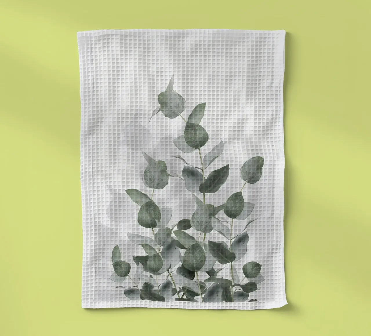 Eucalyptus canovaccio da cucina da Manhmai