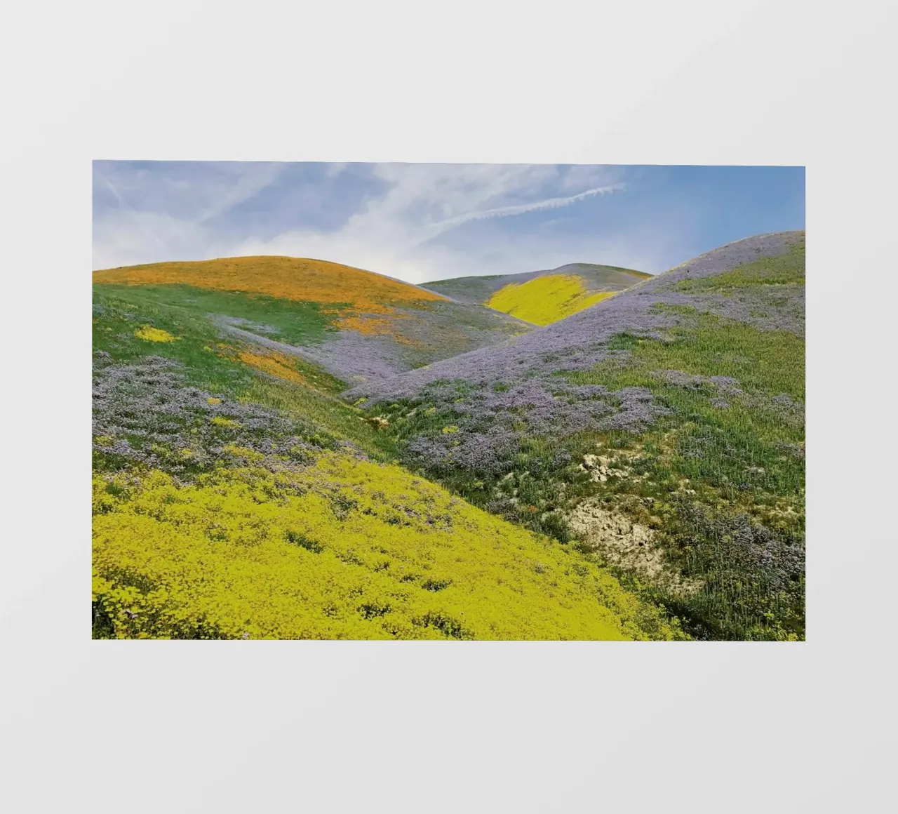 California in Bloom pellicola backlit da Kevin Russ