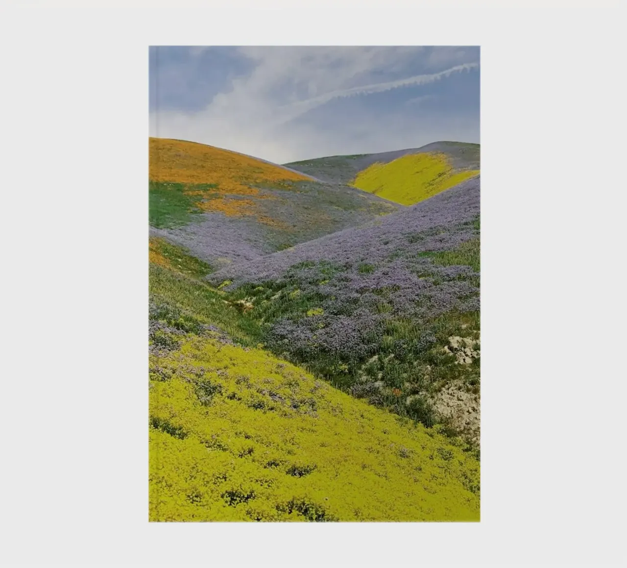 California in Bloom notebook by Kevin Russ