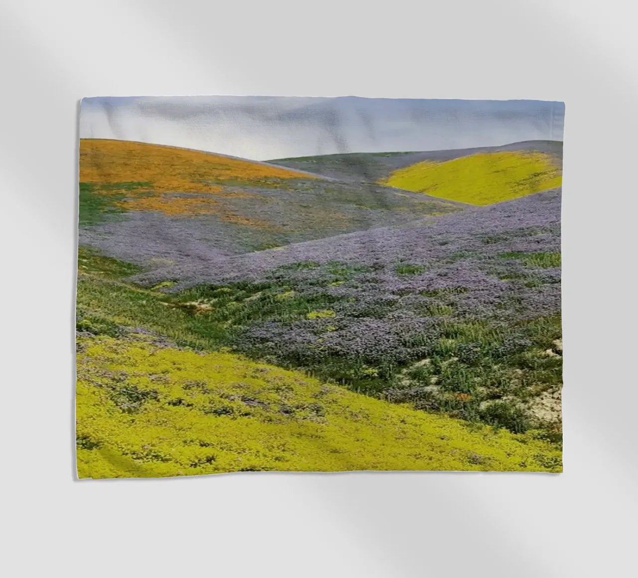 California in Bloom telo mare da Kevin Russ