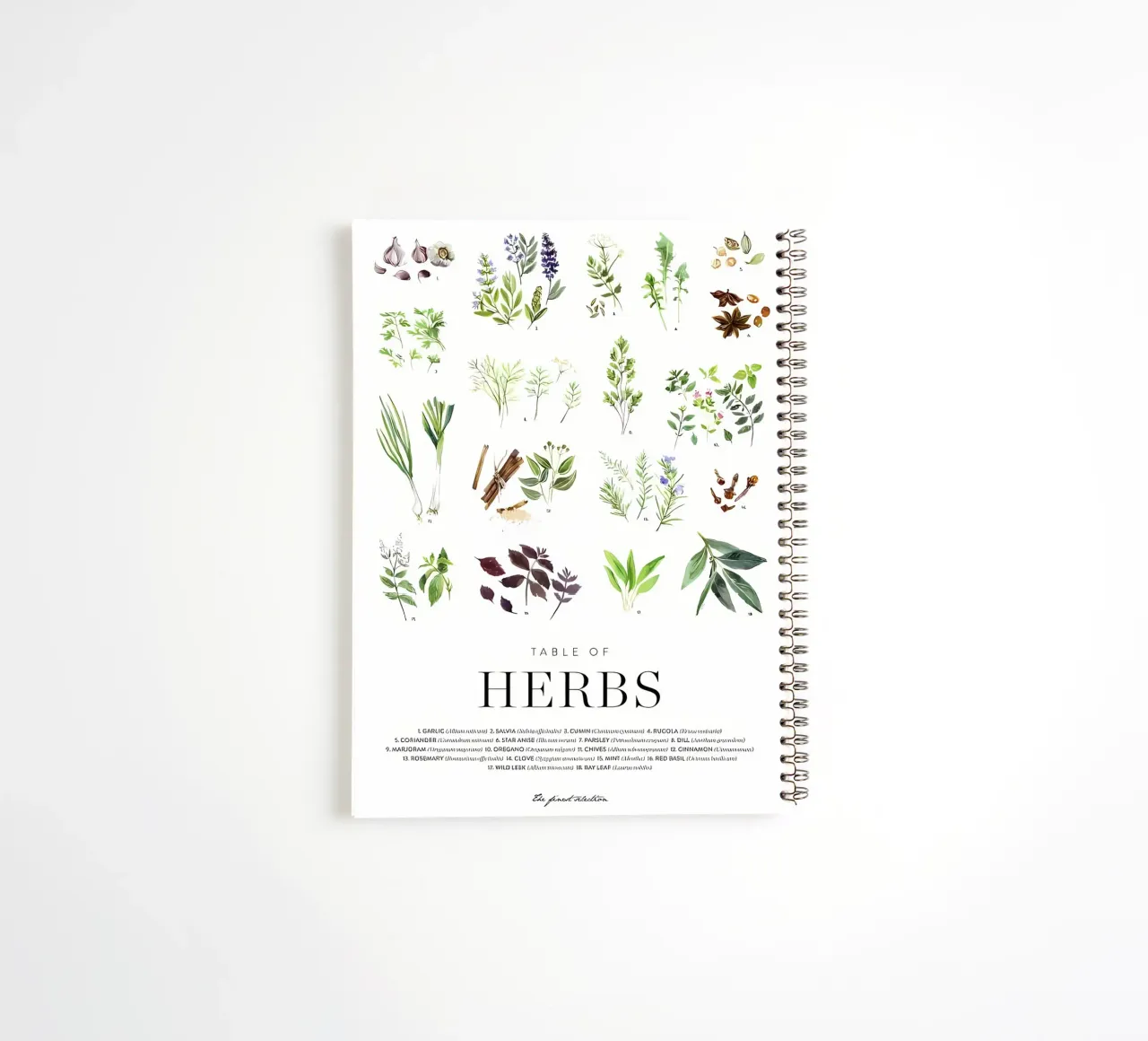 Herbs Ringbuch von Manhmai