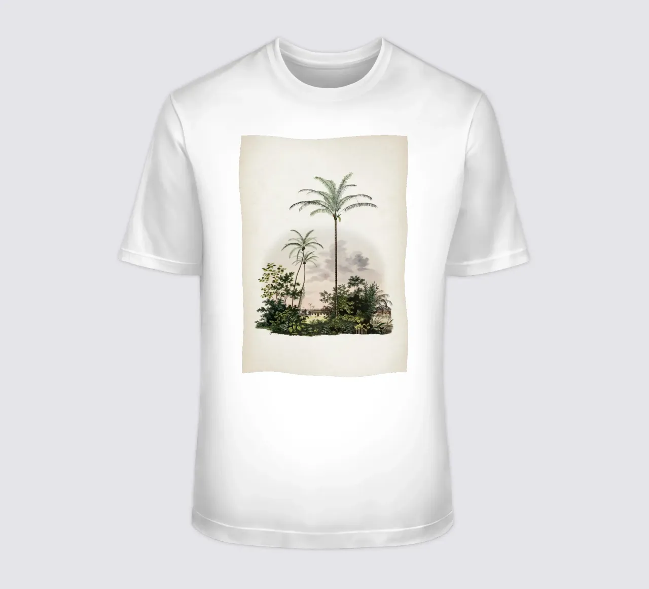 Vintage Martius 1 Astrocaryum Vulgare t-shirt da Vintage Print Collection