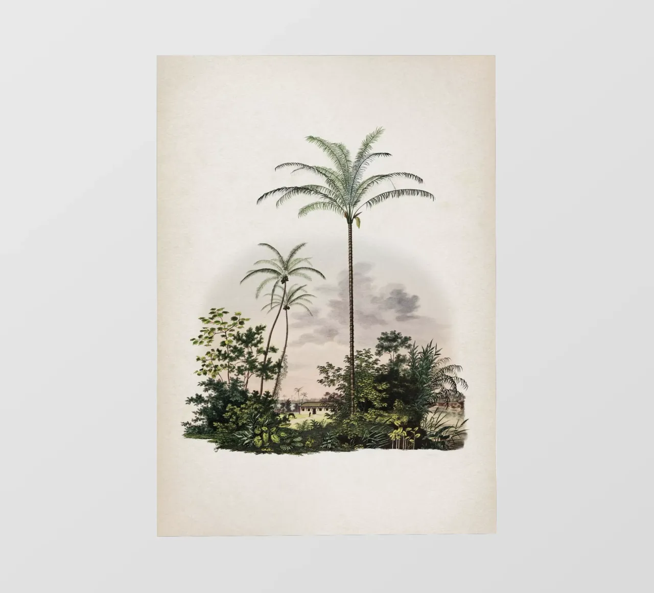 Vintage Martius 1 Astrocaryum Vulgare telo in pvc da Vintage Print Collection