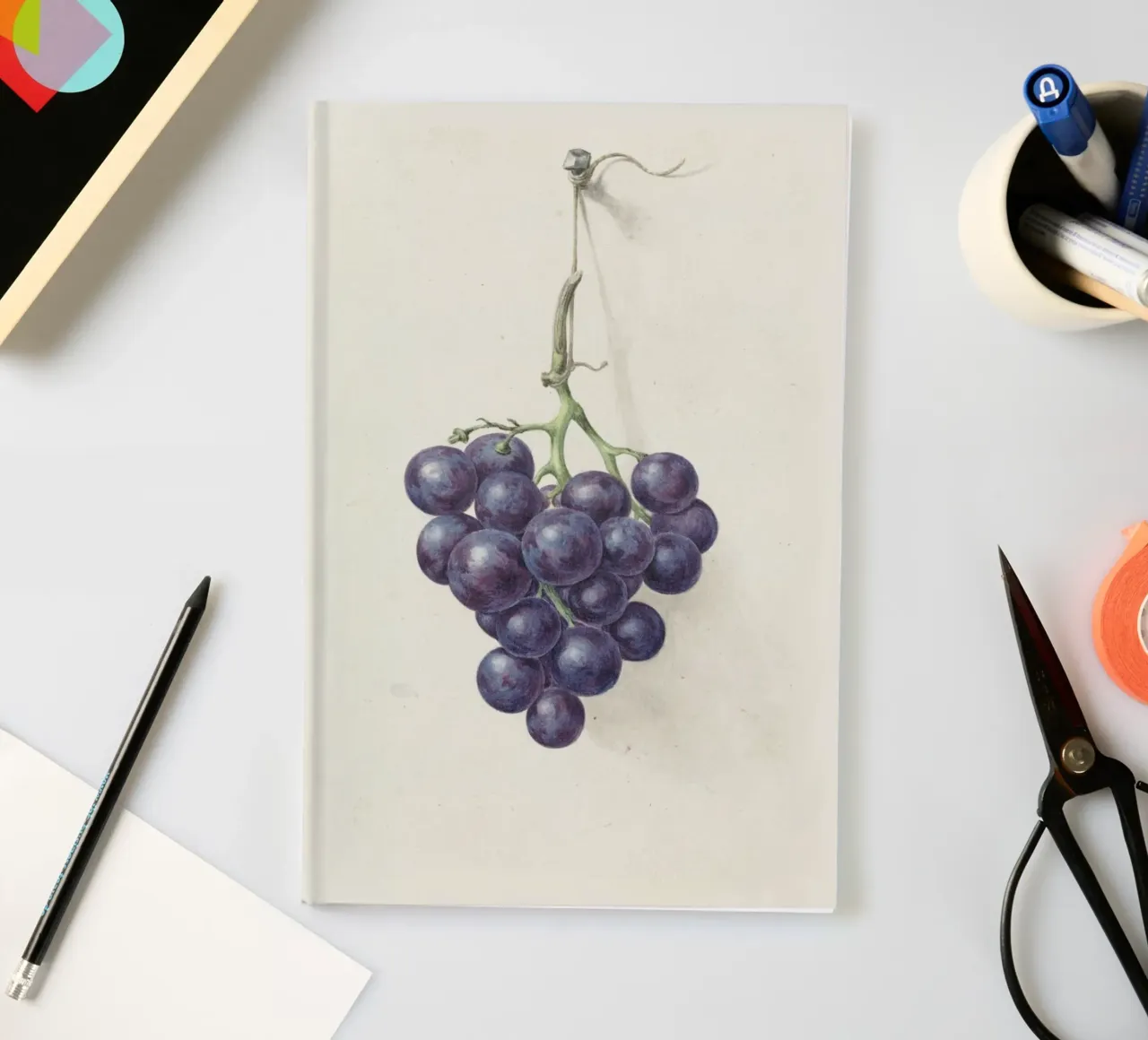 Grappolo di uva scura - Illustrazione botanica d'epoca diario da Studio Vintage