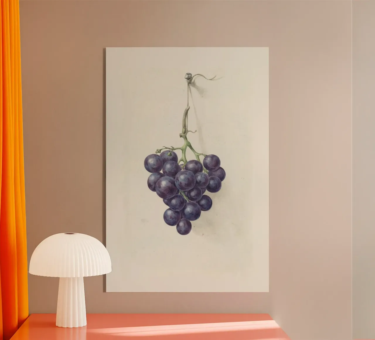 Grappolo di uva scura - Illustrazione botanica d'epoca plexiglass da Studio Vintage