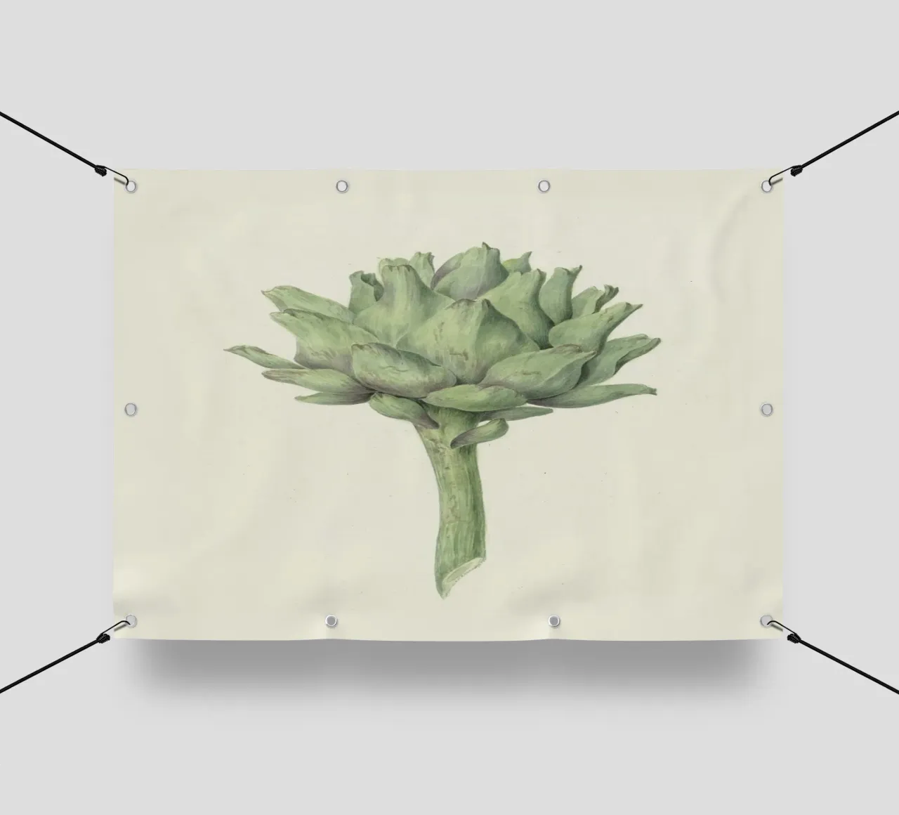 Studio del carciofo - Illustrazione botanica d'epoca telo in pvc da Studio Vintage
