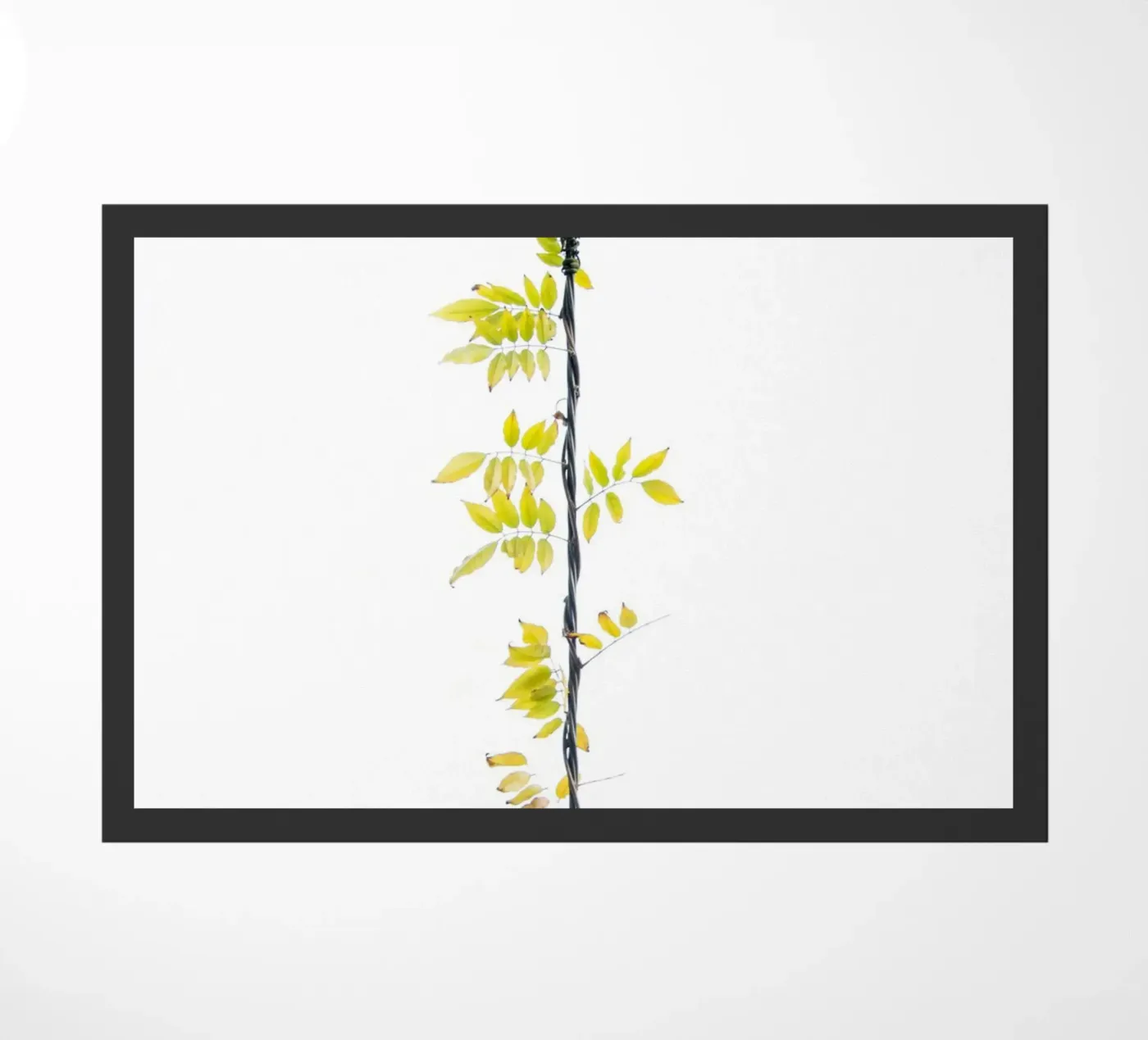 Creeper doormat by Teresa André