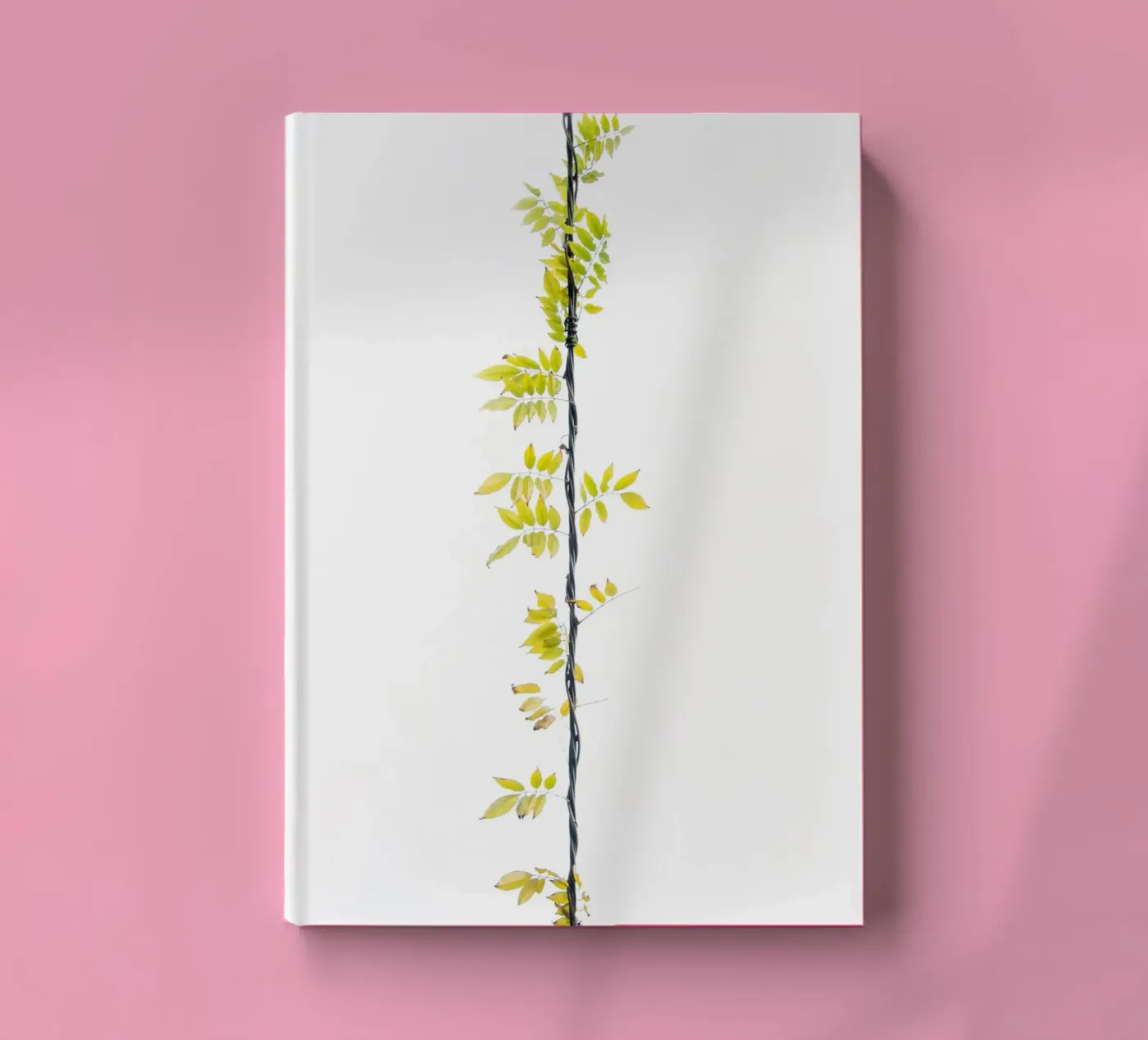 Creeper notebook by Teresa André