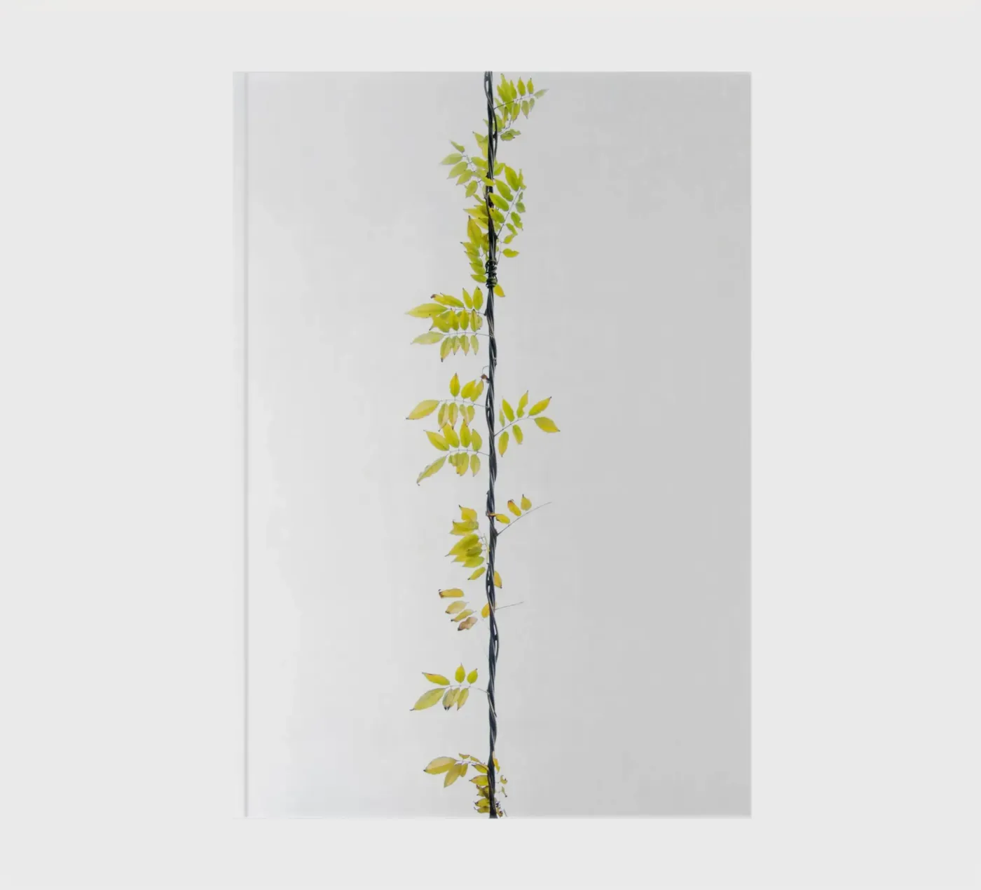 Creeper notebook by Teresa André