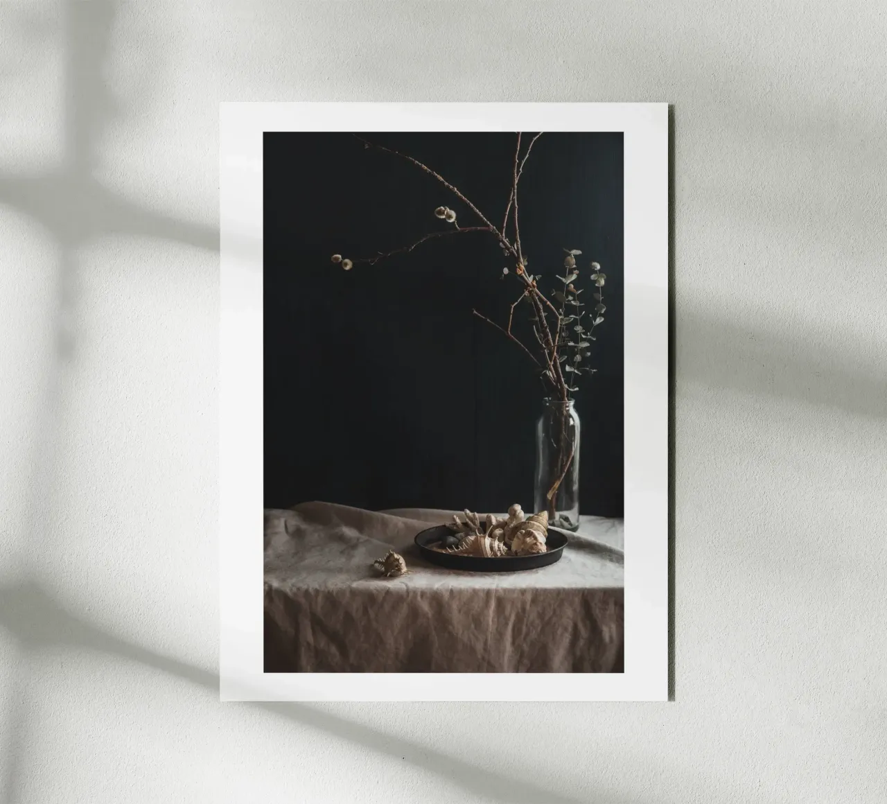 Still life with shells and branches - Natural elegance for alu-dibond by Augenblicke-foto