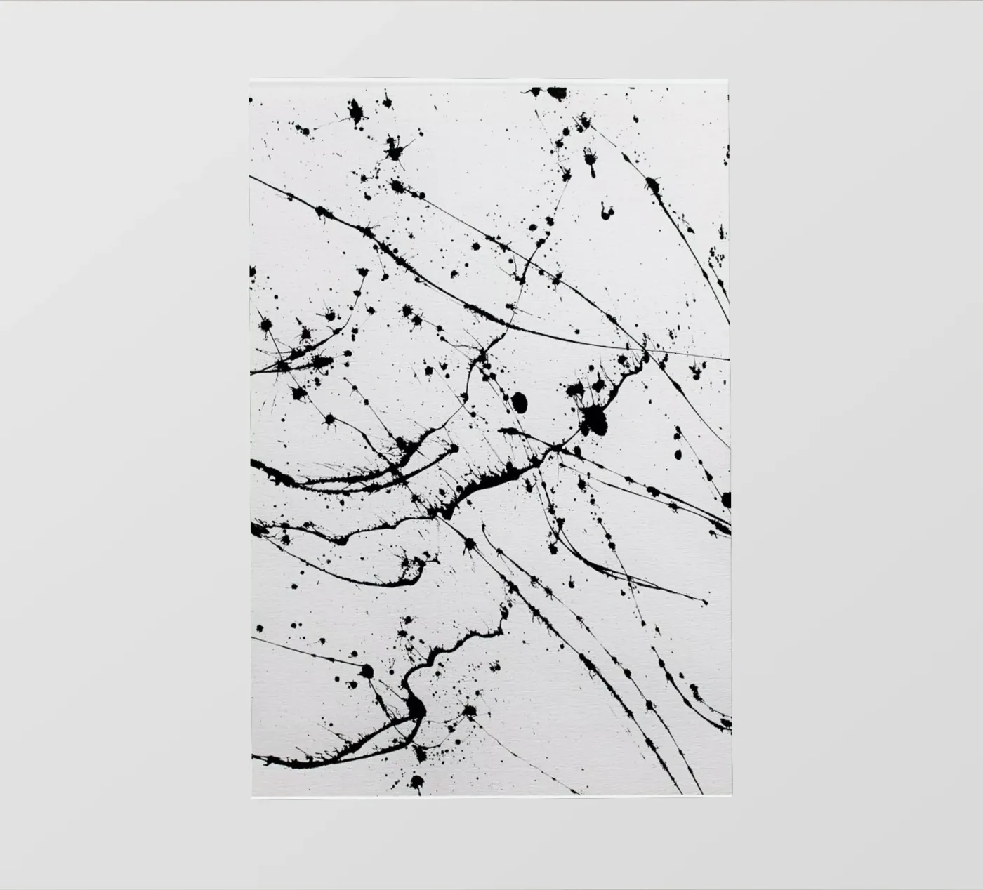 EXPRESSION 2 PVC Plane von FRITSCH&FRITSCH