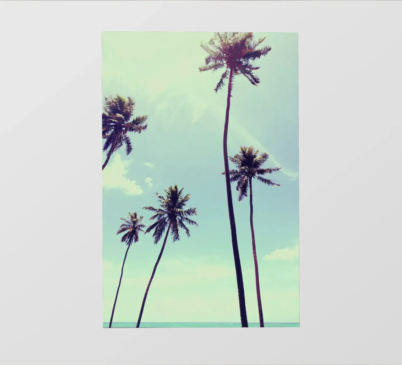 New Life by @alyonagamm pvc cover by EyeEm Mobile GmbH
