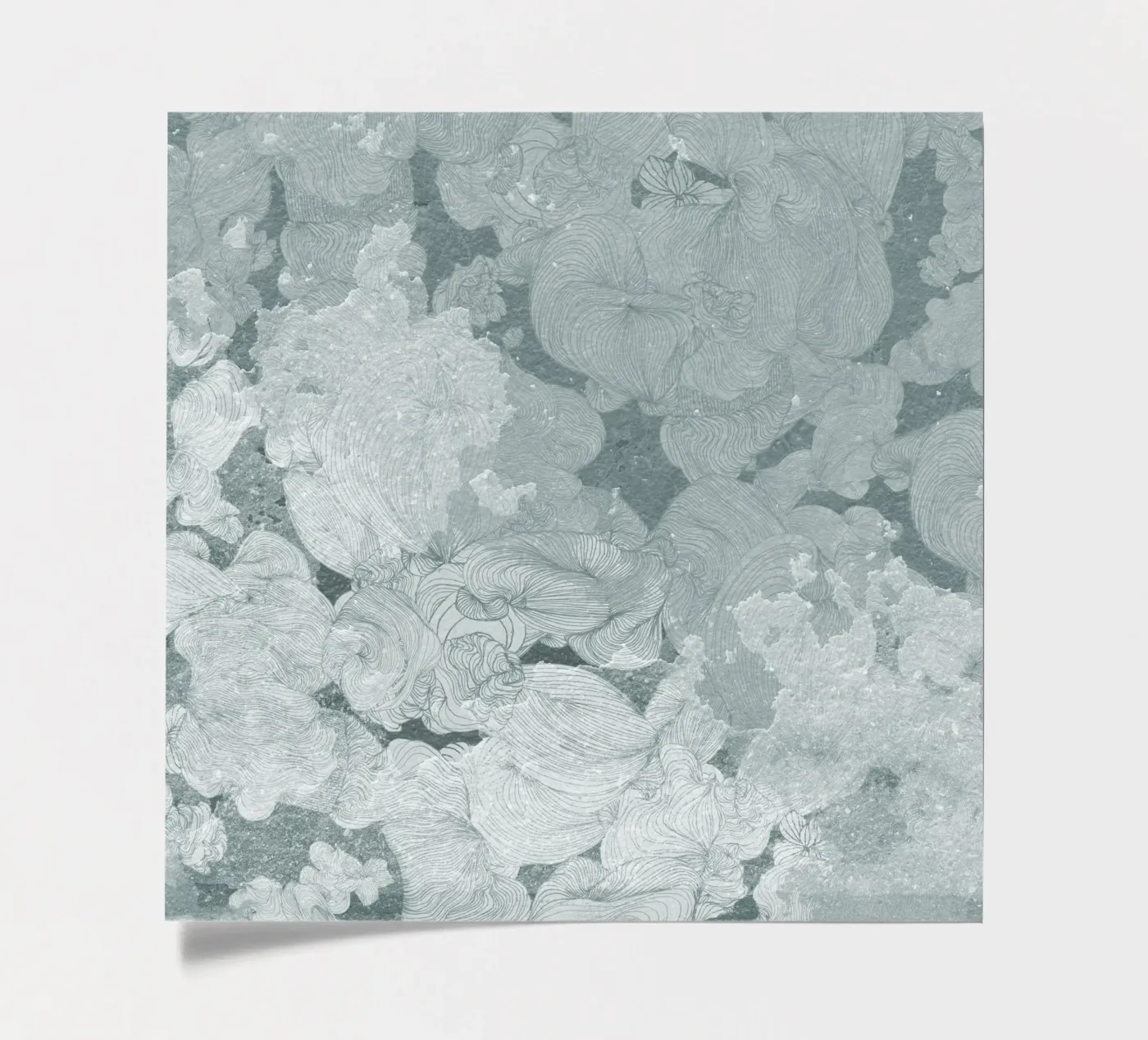 cielo foglio adesivo da Giulio Iurissevich