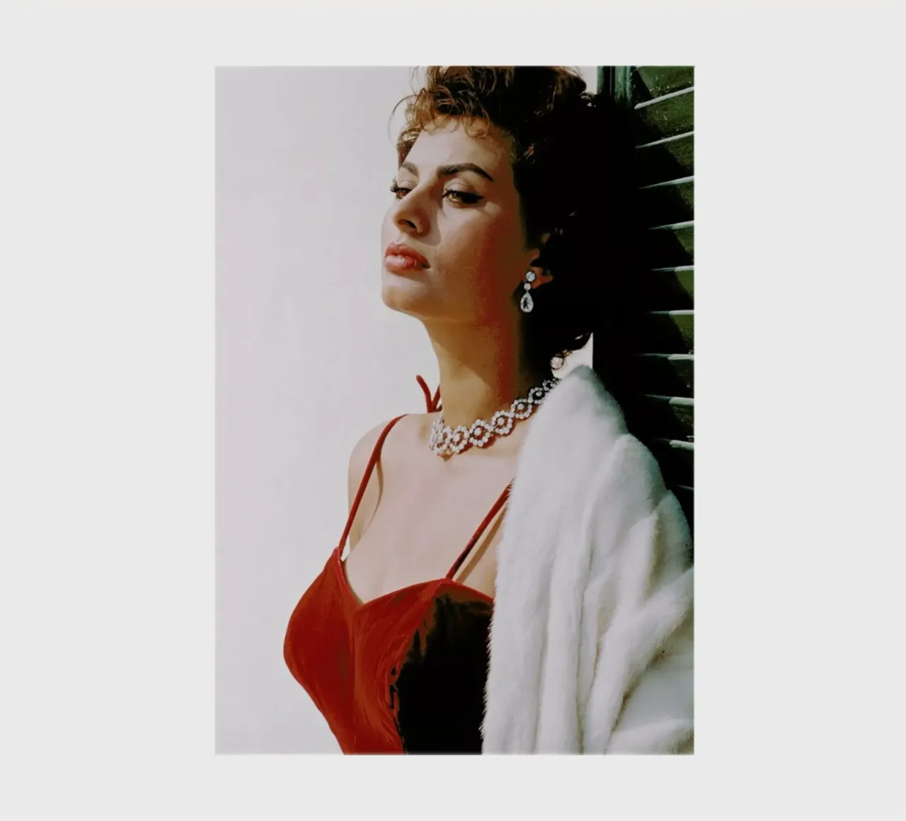 Sophia Loren in Red notebook by Gallery Print and Art Limited