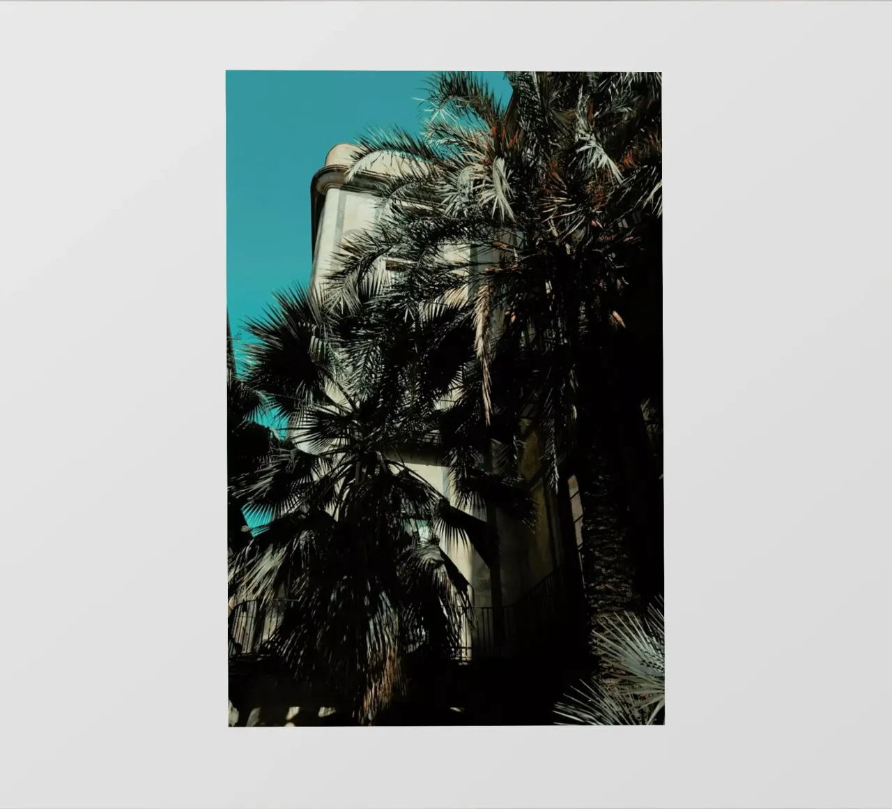 Palms XII telo in pvc da Sebastian Hilgetag