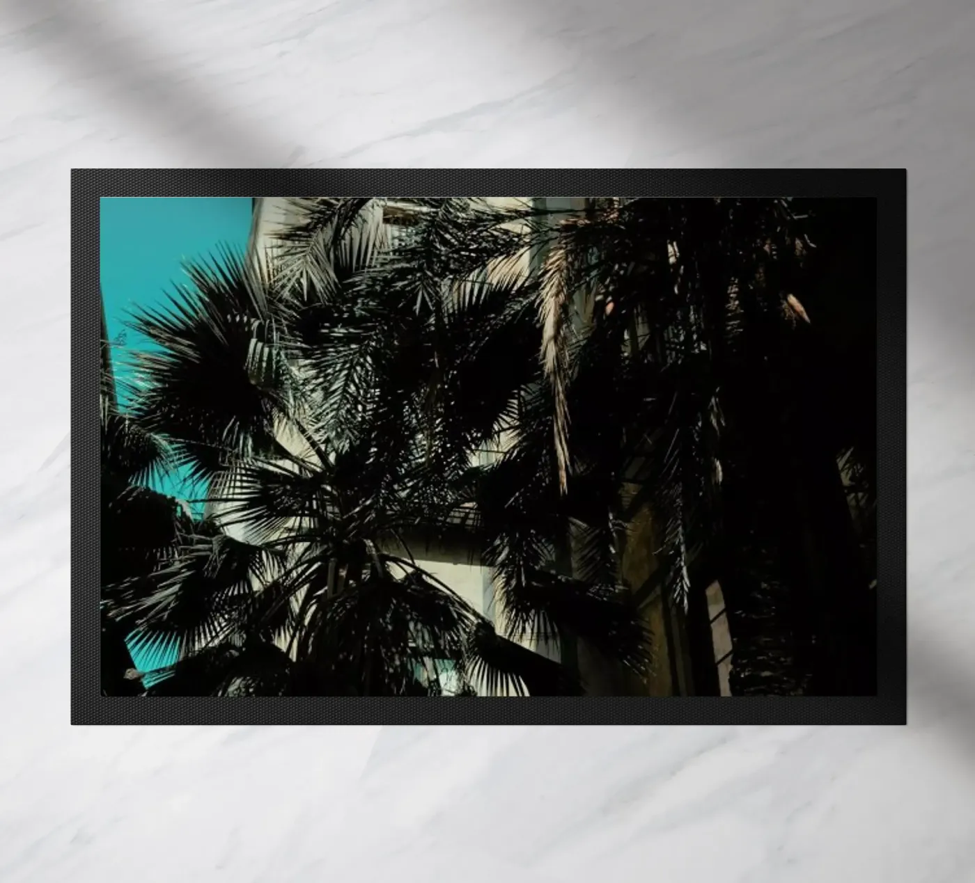 Palms XII zerbino da Sebastian Hilgetag